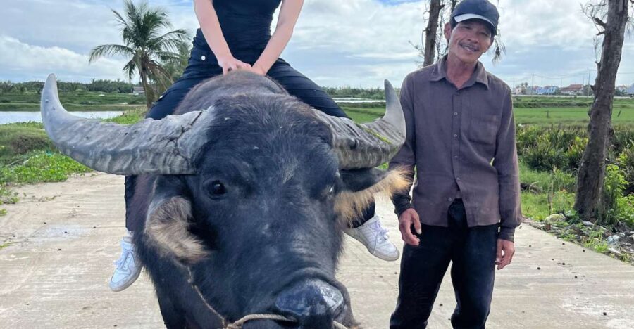 Funny day cycling, Buffalo riding and Basket boat - Key Points