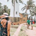 Galle Day Tour with River Safari, Tea Plantation & Sea Turtle - Practical Aspects and Value