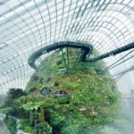 Gardens By the Bay Exp Event - Exploring Gardens by the Bay: An In-Depth Review