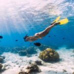 Gili Trawangan : Private Snorkeling with 3 spots or 4 spots - Who Would Love This Tour?