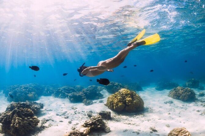 Gili Trawangan : Private Snorkeling with 3 spots or 4 spots - Who Would Love This Tour?