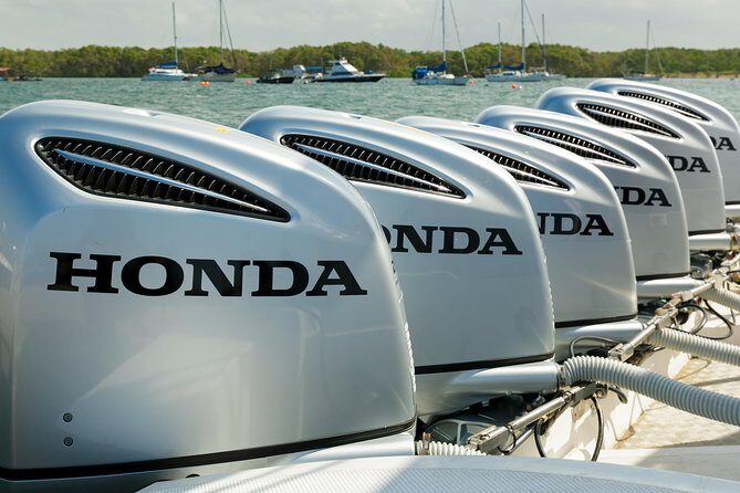 Gili Trawangan to Bali (Serangan) - How the Reviews Reflect the Experience