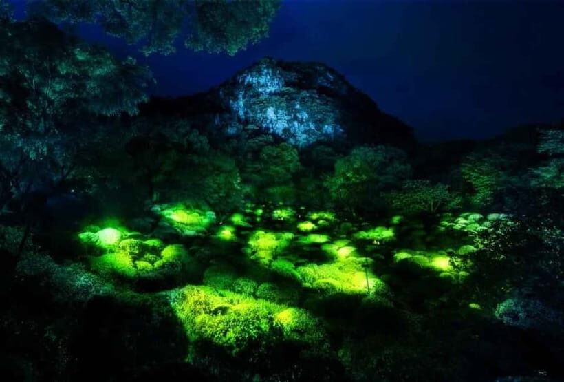 Goa: Bioluminescent Forest Night Trail with Guide - Is this Tour Worth the $27 Price Tag?