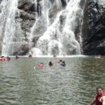 Goa: Dudhsagar Waterfall, Jeep Safari and Spice Plantation - Authentic Insights from Travelers