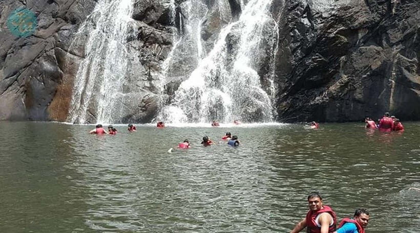 Goa: Dudhsagar Waterfall, Jeep Safari and Spice Plantation - Authentic Insights from Travelers