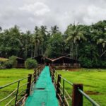 Goa: Spice Plantation Tour and Traditional Local Lunch - A Closer Look at the Tour Experience