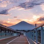 Gotemba Premium Outlets Shopping Tour from Tokyo - Practical Tips for Your Trip