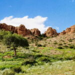 Great Gobi to Khuvsgul Lake 16 Days Tour - Value for Money