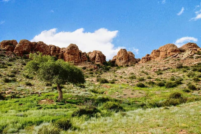 Great Gobi to Khuvsgul Lake 16 Days Tour - Value for Money