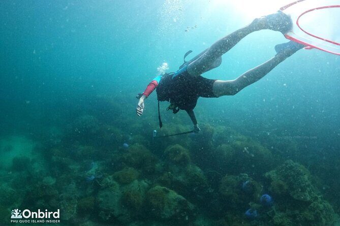[GROUP] SCUBA DIVING for Certified Divers in Phu Quoc Island - Equipment and Comfort