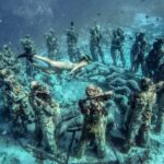 Group Snorkeling Tour Gili Islands Including GoPro Documentation - What Could Be Better