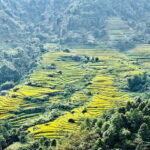 Group Tour - Visit All Highlights of Sapa in 1 Day - The Tour Breakdown: What to Expect