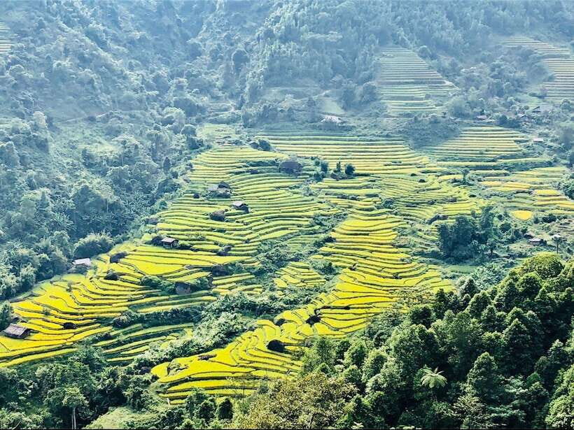 Group Tour - Visit All Highlights of Sapa in 1 Day - The Tour Breakdown: What to Expect