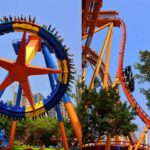 Guangzhou Chimelong: Safari Park/ParadiseOptional Day Tour - What to Expect at Chimelong Paradise and Safari Park