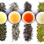 Guangzhou: Mahjong lesson & Tea Tasting Immersion Experience - Who Should Consider This Experience?