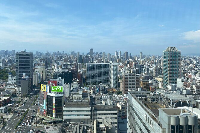 Guided Tour of Some Attractions in Osaka by Private Car - The Sum Up