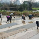 Guilin: Countryside Cycling 1-day Tour with Cooking Class - Practical Details and Value