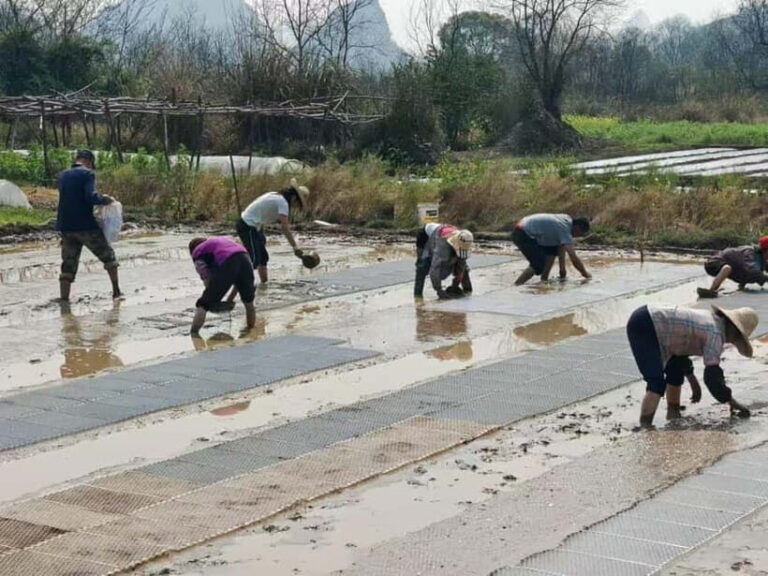 Guilin: Countryside Cycling 1-day Tour with Cooking Class - Practical Details and Value