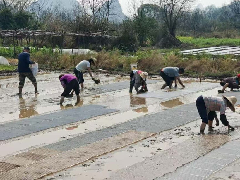 Guilin: Countryside Cycling 1-day Tour with Cooking Class - Practical Details and Value