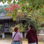 Gyeongbuk Day Trip: Omija Ssamjang Making & Mungyeong Trek - The Value of This Tour
