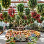 Gyeonggi: Gaypeong Begonia Bird Park Entry Ticket - The Sum Up: Is It Worth Visiting?