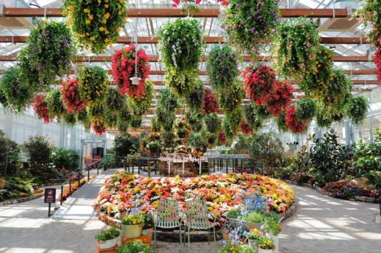 Gyeonggi: Gaypeong Begonia Bird Park Entry Ticket - The Sum Up: Is It Worth Visiting?