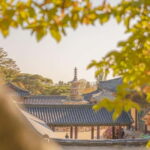 Gyeongju: Private Car Tour with a Licensed Tour Guide - A Detailed Look at the Experience