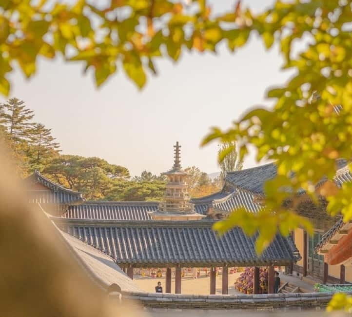 Gyeongju: Private Car Tour with a Licensed Tour Guide - A Detailed Look at the Experience