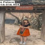 Ha Giang Loop Car 3 Days 2 Nights by OHC Travel - The Travel Experience: What You’ll Love and What to Watch For