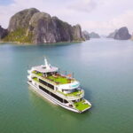 Ha Long Bay Day Tour: Buffet & Jacuzzi by Wonder of the Sea - Inside the Cruise Experience