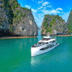 Ha Long Bay Luxury Cruise: Islands, Caves & Local Lunch - What to Expect During the Day