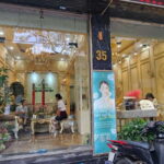 Ha Noi : Foot Massage Service with our skilled therapists - The Practical Details