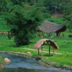 Hainan: A private day trip to Wuzhishan - What Makes This Tour Stand Out