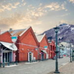 Hakodate: Half-day Heritage Trail Tour  4 Hours - Transportation & Logistics