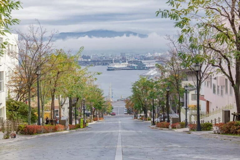 Hakodate Highlights Tour  4 Hours - Whats the Practical Side?