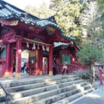 Hakone Adventure: Explore Natures Beauty and Tranquility - Who Is This Tour Best For?