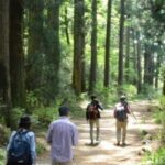 Hakone Geology & History Tour - Transportation and Practicalities