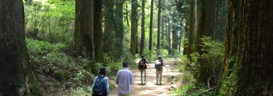 Hakone Geology & History Tour - Transportation and Practicalities
