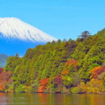 Hakone: Private Tour from Tokyo to Hakone in Spanish - What Our Reviewer Says: Authentic Feedback