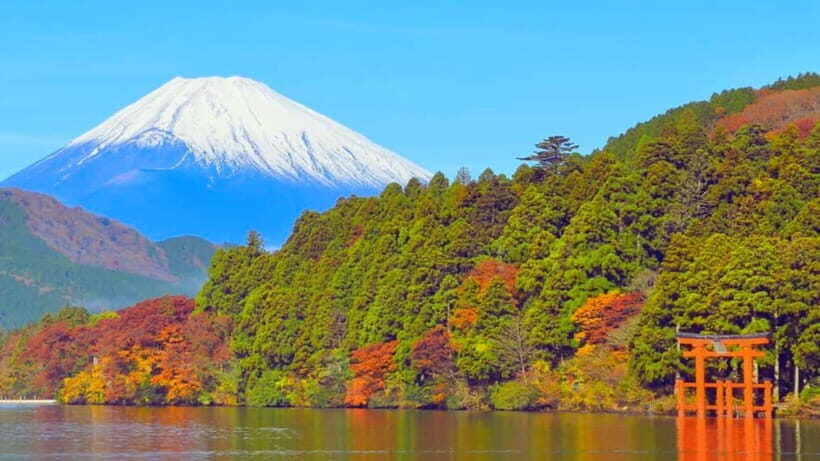 Hakone: Private Tour from Tokyo to Hakone in Spanish - What Our Reviewer Says: Authentic Feedback
