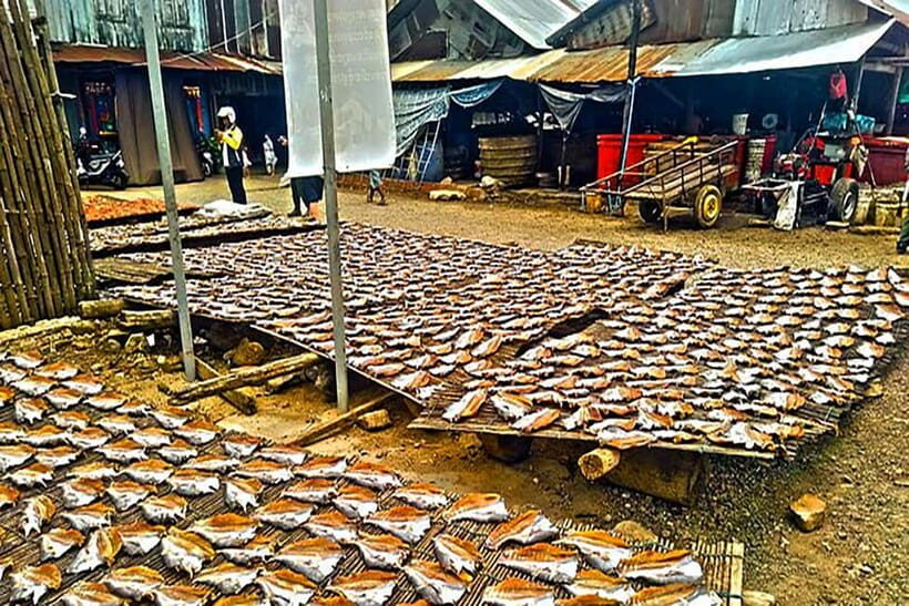 Half-Day Cycling to Discover Battambang's Rural Livelihoods - What Makes This Tour Stand Out?