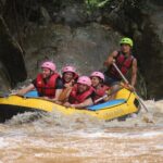 Half Day Elephant care and Whitewater Rafting Adventure - A Closer Look at the Itinerary