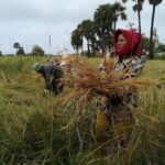 Half Day Floating Village ( Mechrey) & Tole Sap Tour - Who Will Love This Tour?