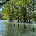 Half-Day Geopark Mangrove Kayaking Adventure - Why This Tour Is Worth Considering
