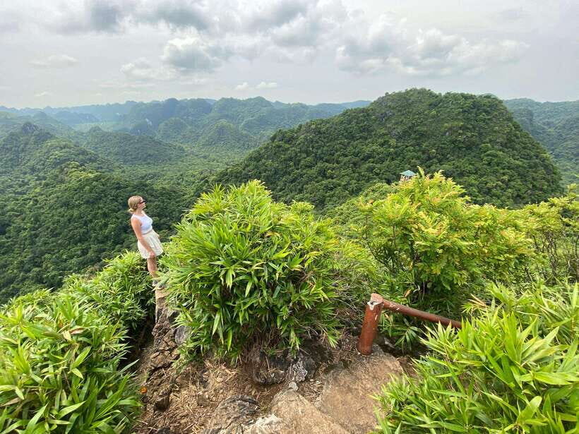 Half Day Hiking to Cat Ba National Park with a Guide - The Itinerary in Detail