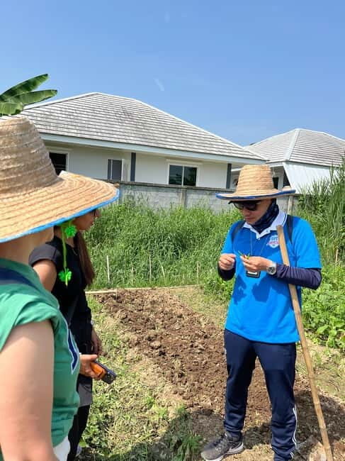 Half Day Historical & Cultural Experience Bicycle Tour - What Makes This Tour Stand Out