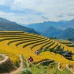 Half Day Private Trekking Mu Cang Chai_Morning or Afternoon - The Value of This Experience