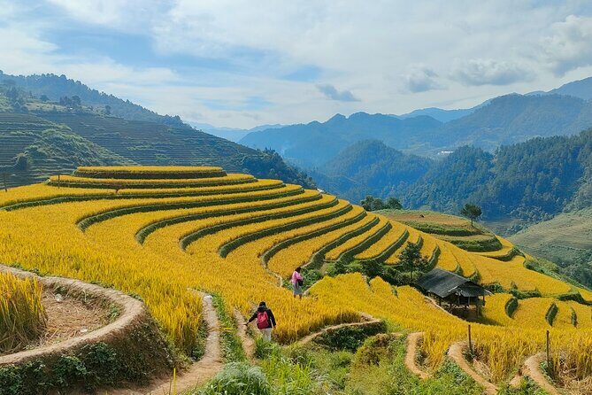 Half Day Private Trekking Mu Cang Chai_Morning or Afternoon - The Value of This Experience