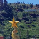 Half-Day Private Trip to Waterfalls and Tea Factory - What Makes This Tour Stand Out?