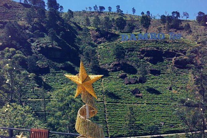 Half-Day Private Trip to Waterfalls and Tea Factory - What Makes This Tour Stand Out?